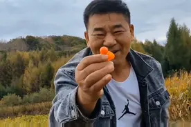 遥远的小山村，实拍辽宁省抚顺清原县南山城镇小北岔村视频封面