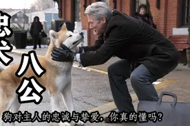 速读《忠犬八公》 为爱原地等待主人十年的狗，它的忠诚无人能及视频封面