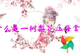 什么是一树梨花压海棠这句话的由来你知道吗八十岁取了十八为妾视频封面
