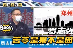 罗志强：台作家苦苓质疑向河南大水捐款的人，台湾怎么变成这样？视频封面