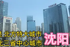 来到沈阳被它的城建震撼到啦 真不愧是东北三省中心城市 辽宁省会视频封面