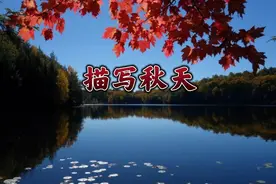 描写秋天的词语不止一叶知秋，天高气爽！看看我是怎么写秋天的？视频封面