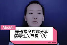 鸡站立不稳，跛行，瘸腿，关节红肿，一起来学习视频封面