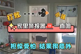家里烟雾报警器一直响，3个小时后看效果怎么样？该怎样消灭小强视频封面
