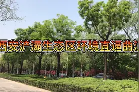 十年前看曲江，十年后看浐灞，浐灞发展太吓人了视频封面