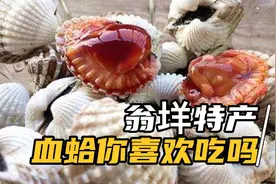 温州人最爱吃的血蛤过年必吃一道菜，居然长在泥巴里，你喜欢吃吗视频封面