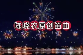陈晓农原创笛曲《月下问烟花》视频封面