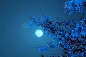 一念放下 万般从容视频封面