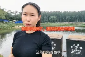 高密度养罗非，亩产过万一年抓两批鱼，5毛利润十亩鱼塘挣十万视频封面