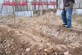 在沟里冬储白菜有什么好处？适用什么环境？挖多宽多深多长？视频封面