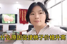 今年什么原因引起桃子价格升高，怎样种植效益更好视频封面