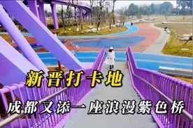 成都又添一座浪漫紫色桥，环城生态公园“悦动彩林”，拍照新地标视频封面