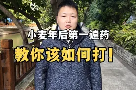 小麦年后第一遍药非常重要，一定要看完！视频封面