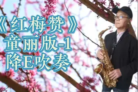 学吹《红梅赞》完整版童丽版本降1个调，降E吹奏视频封面