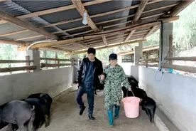 生活过得是很艰辛，只要夫妻俩的心挨着心，这样的日子就还有奔头视频封面
