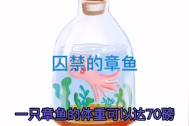 章鱼入瓶视频封面