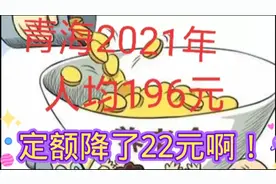 青海省2021年养老金调整办法！定额降22元！人均涨196元！视频封面