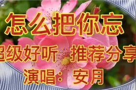 《怎么把你忘》把爱给了你就不要你还，只想你能把我放心上视频封面