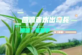 毛主席嫡孙毛新宇在赤水现场演唱《四渡赤水出奇兵》振奋人心！视频封面