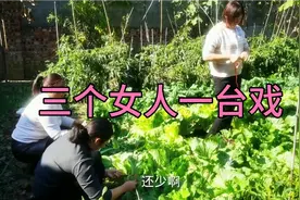 看看三个女人在一起都聊些什么东西！视频封面
