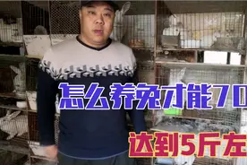 家兔养殖怎样才能70天达到5斤左右，你相信吗视频封面
