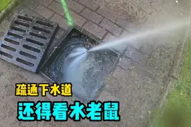 小区下水道堵塞严重，原来是树根搞的鬼，清理掉它真的是很费劲视频封面
