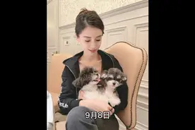 Angelababy抱着狗狗合影眼神温柔！怀中萌犬超可爱！视频封面