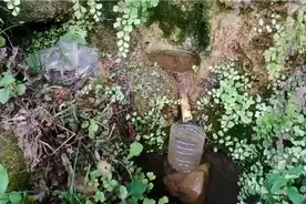 今天上山没带水，口渴死了，去喝点真正的云南山泉水。视频封面