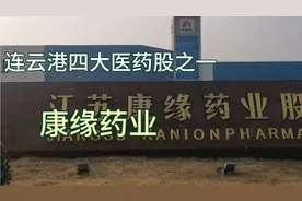 连云港四大医药股之一，康缘药业视频封面