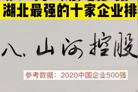 湖北省最强的10家企业排行榜，谁才是湖北的经济实力担当视频封面