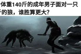 沙雕神评：一个体重140斤的男子面对一只70斤的狼，谁胜算更大？视频封面