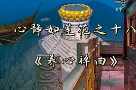 听《养心禅曲》瞬间去除杂念烦恼，心平气和深度入眠，疗愈五脏。视频封面