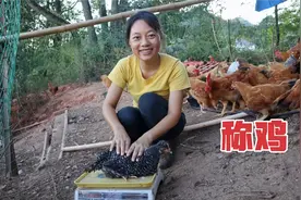 养了4个月的鸡感觉不对劲，大妹决定称一下，这重量自己都不相信视频封面