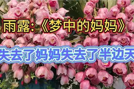 雨露原唱《梦中的妈妈》失去妈妈失去半边天，让人心碎让人流泪视频封面