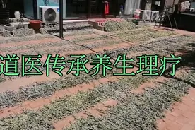纯正野生艾草药效好视频封面