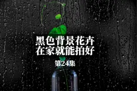 拍花用这个暗背景方法，在家就可以出很大大片，不信，你试试视频封面