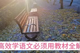 高效学语文必须用教材全解，六个好处很多人不知道。视频封面