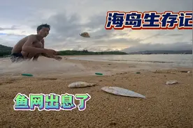 海岛生存记1，怎样才能做到偷懒最高境界视频封面