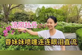 赏洛阳牡丹国色天香甲天下，不料蓉妹妹花粉过敏喷嚏不断眼泪直流视频封面