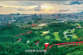砥砺前行再奋进 追赶超越谱新篇｜光明街道区划分设成立五周年视频封面