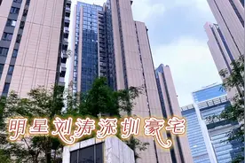 女明星刘涛深圳豪宅在这里，价值数千万，南山第一村视频封面