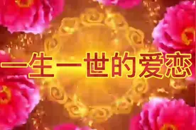 情感的歌曲《一生一世的爱恋》视频封面