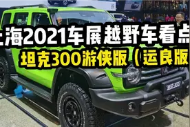 细致了解坦克300(运良版)配置性能