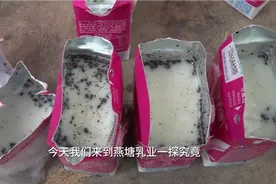 燕塘回应酸奶饮品出现黑色物质：杀菌温度瞬间升高引起，正在召回视频封面