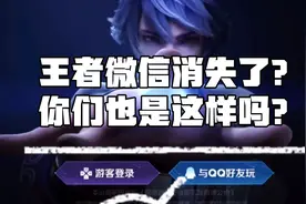 王者微信区居然消失了？跟客服反应对话笑哭了？你们也是这样吗？视频封面