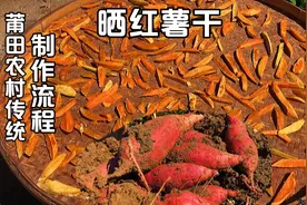 红薯大丰收，分享莆田农村传统红薯干做法，方法简单放一年不会坏视频封面