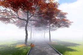 想知道一张好看的图片是如何做出来的吗？一定要看到最后呀！视频封面
