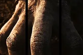 裸眼3d、视觉震撼（网络素材）视频封面