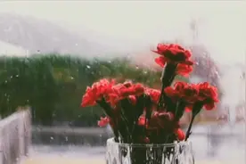 水做的女人视频封面