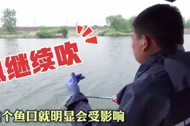 野钓：下风口比上风口好钓鱼，这个结论误导了多少钓鱼人？